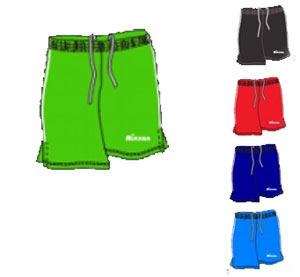 ����� ����� Mikasa ��� ���������