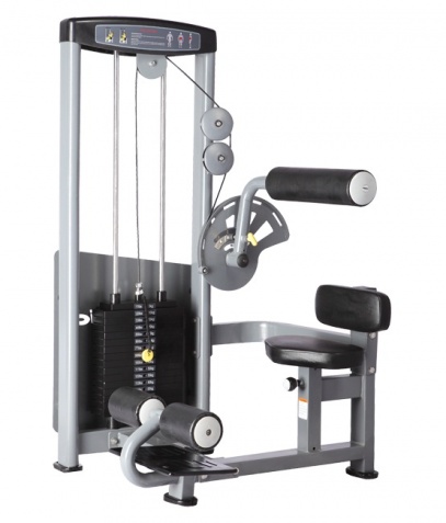 ������� ��������� ����� Bronze Gym �� ����� ������� ���������