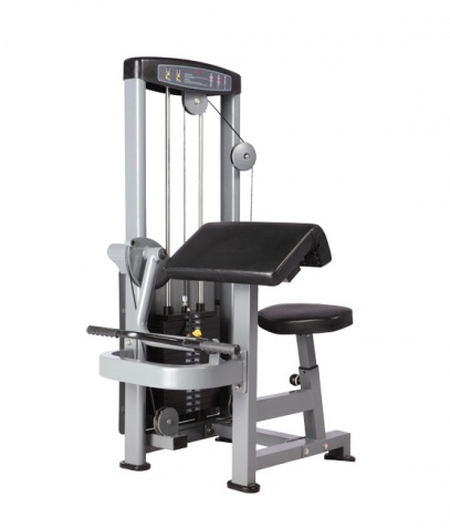 ������� ��������� ����� Bronze Gym �� ����� ������� ���������