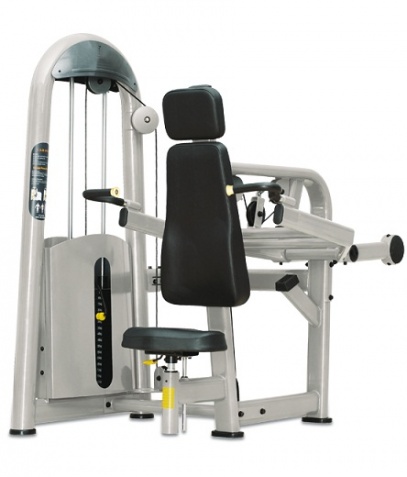 ������� ��������� ����� Bronze Gym �� ����� ������� ���������