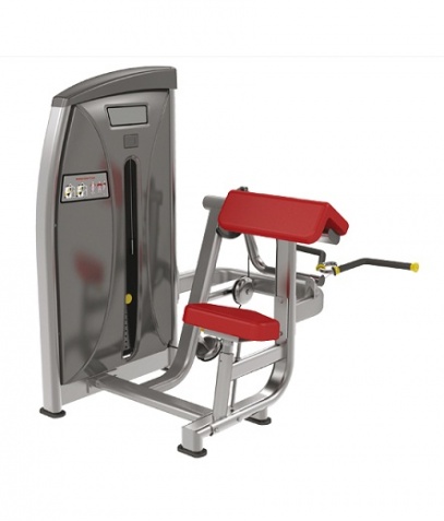 ������� ��������� ����� Bronze Gym �� ����� ������� ���������