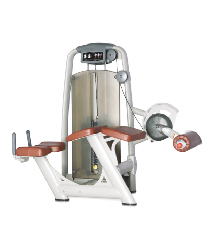 ������� ��������� ����� Bronze Gym �� ����� ������� ���������