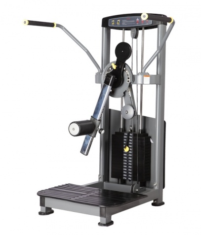 ������� ��������� ����� Bronze Gym �� ����� ������� ���������