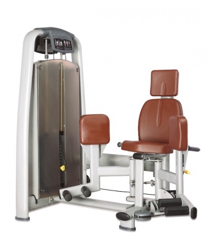 ������� ��������� ����� Bronze Gym �� ����� ������� ���������