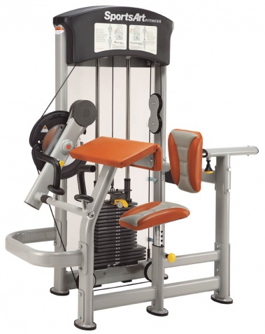 ������� ��������� ����� Sports Art �� ����� ������� ���������