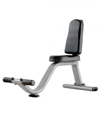 ������ ����� Bronze Gym �� ����� ������� ���������