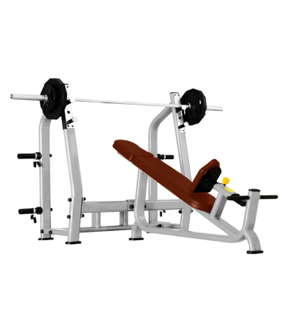 ������ ����� Bronze Gym �� ����� ������� ���������