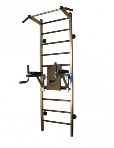 Шведские стенки фирмы Plastep из серии силовых тренажёров Шведские стенки фирмы Plastep из серии силовых тренажёров