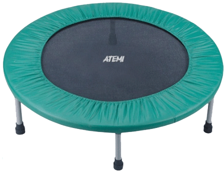 ������ ����� Atemi �� ����� ���������� ��� ������� � ���������